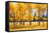 Trees-null-Framed Stretched Canvas