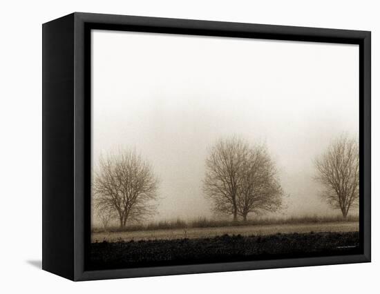 Trees-Monika Brand-Framed Stretched Canvas