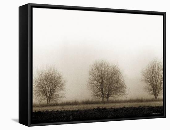 Trees-Monika Brand-Framed Stretched Canvas