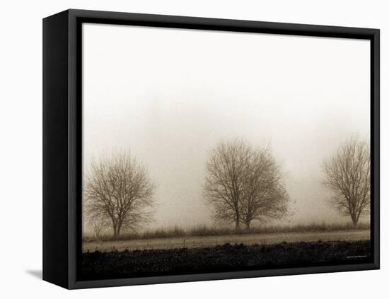 Trees-Monika Brand-Framed Stretched Canvas