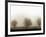 Trees-Monika Brand-Framed Photographic Print