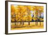 Trees-null-Framed Photographic Print