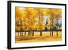 Trees-null-Framed Photographic Print