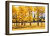 Trees-null-Framed Photographic Print