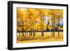 Trees-null-Framed Photographic Print