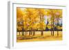 Trees-null-Framed Photographic Print