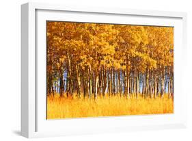 Trees-null-Framed Photographic Print