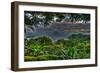 Trees-Robert Kaler-Framed Photographic Print