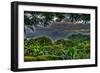 Trees-Robert Kaler-Framed Photographic Print