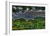 Trees-Robert Kaler-Framed Photographic Print