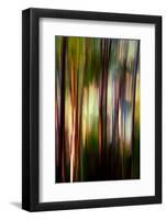 Trees-Ursula Abresch-Framed Photographic Print