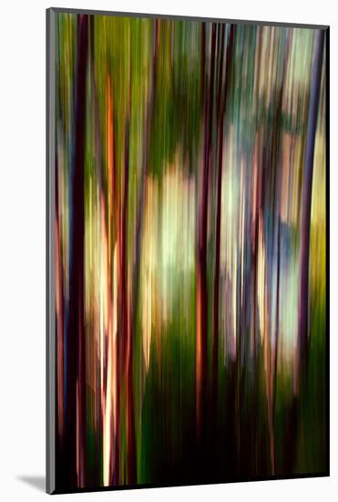 Trees-Ursula Abresch-Mounted Photographic Print