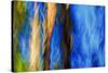 Trees-Ursula Abresch-Stretched Canvas