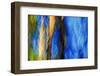 Trees-Ursula Abresch-Framed Photographic Print