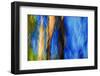 Trees-Ursula Abresch-Framed Photographic Print