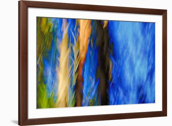 Trees-Ursula Abresch-Framed Photographic Print