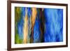 Trees-Ursula Abresch-Framed Photographic Print