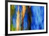 Trees-Ursula Abresch-Framed Photographic Print