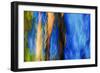 Trees-Ursula Abresch-Framed Photographic Print