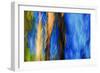 Trees-Ursula Abresch-Framed Photographic Print