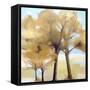 Trees-Ana Bianchi-Framed Stretched Canvas