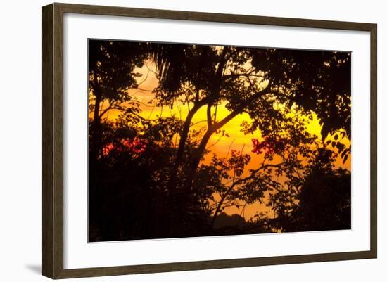 Trees-Mark Ashkenazi-Framed Giclee Print