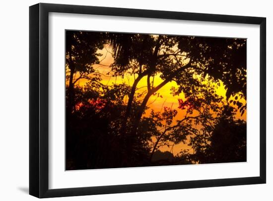 Trees-Mark Ashkenazi-Framed Giclee Print