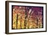 Trees-Mindy Sommers-Framed Giclee Print