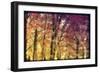 Trees-Mindy Sommers-Framed Giclee Print