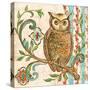 Treetop Owl I-Kate McRostie-Stretched Canvas