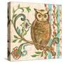 Treetop Owl I-Kate McRostie-Stretched Canvas