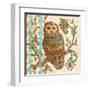 Treetop Owl II-Kate McRostie-Framed Art Print