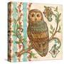 Treetop Owl II-Kate McRostie-Stretched Canvas