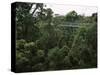 Treetop Walk, Valley of the Giants, Walpole, Western Australia, Australia-G Richardson-Stretched Canvas