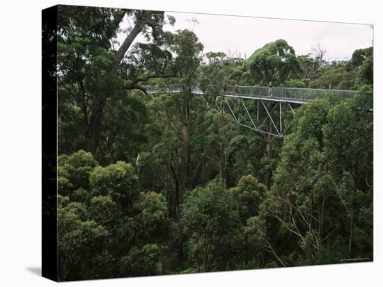Treetop Walk, Valley of the Giants, Walpole, Western Australia, Australia-G Richardson-Stretched Canvas