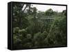 Treetop Walk, Valley of the Giants, Walpole, Western Australia, Australia-G Richardson-Framed Stretched Canvas