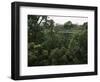 Treetop Walk, Valley of the Giants, Walpole, Western Australia, Australia-G Richardson-Framed Photographic Print