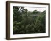 Treetop Walk, Valley of the Giants, Walpole, Western Australia, Australia-G Richardson-Framed Photographic Print