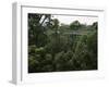 Treetop Walk, Valley of the Giants, Walpole, Western Australia, Australia-G Richardson-Framed Photographic Print