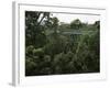 Treetop Walk, Valley of the Giants, Walpole, Western Australia, Australia-G Richardson-Framed Photographic Print