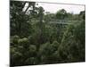 Treetop Walk, Valley of the Giants, Walpole, Western Australia, Australia-G Richardson-Mounted Photographic Print