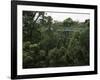 Treetop Walk, Valley of the Giants, Walpole, Western Australia, Australia-G Richardson-Framed Photographic Print