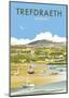 Trefdraeth - Dave Thompson Contemporary Travel Print-Dave Thompson-Mounted Art Print