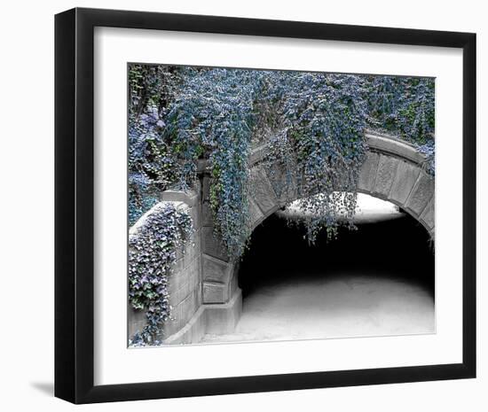 Trefoil Winter-Richard James-Framed Art Print