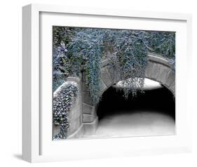 Trefoil Winter-Richard James-Framed Art Print