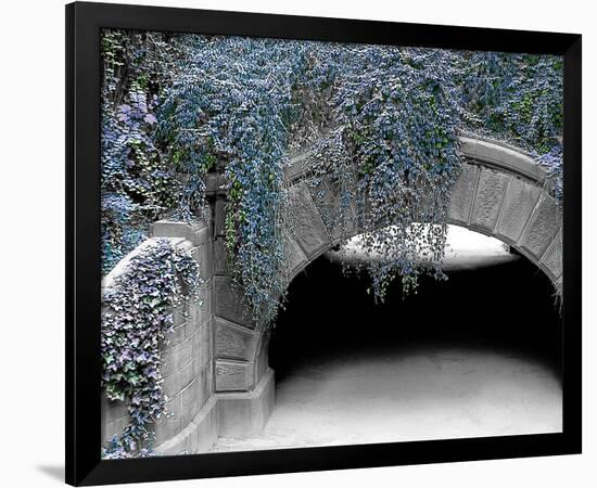 Trefoil Winter-Richard James-Framed Art Print