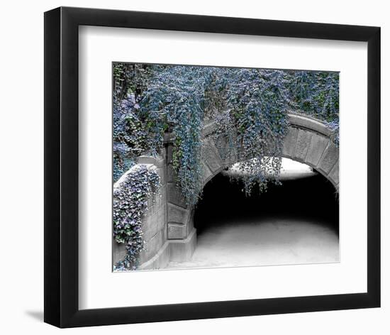 Trefoil Winter-Richard James-Framed Art Print