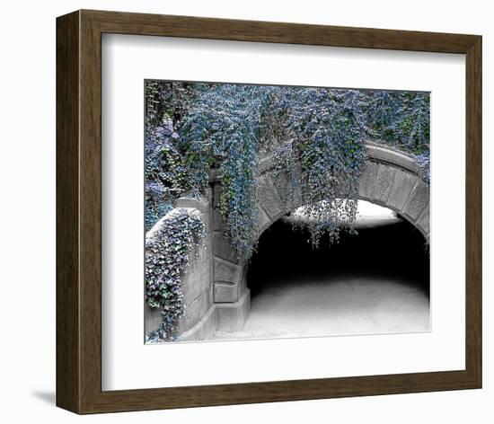 Trefoil Winter-Richard James-Framed Art Print