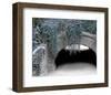 Trefoil Winter-Richard James-Framed Art Print
