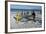 Trek Net Fishing-Peter Chadwick-Framed Premium Photographic Print